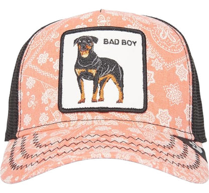 Gorra Goorin Bros Paisley Collection Trucker