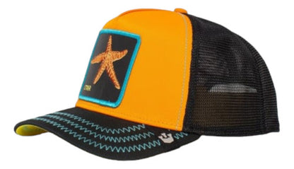 Gorra Goorin Bros Star Estrella De Mar Unitalla