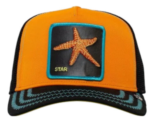 Gorra Goorin Bros Star Estrella De Mar Unitalla