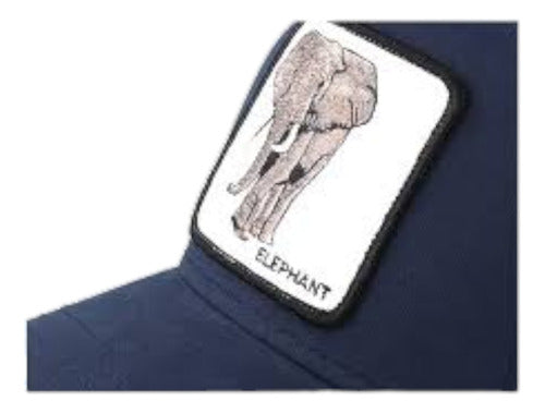 Gorra Goorin Bros Elefante Unitalla Ajustable