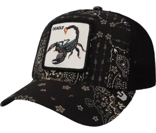 Gorra Goorin Bros Paisley Collection Trucker