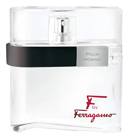 Fragancia Para Caballero F Salvatore Ferragamo Pour Homme 10