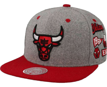 Gorra Mitchell & Ness Chicago Bulls Visera Plana