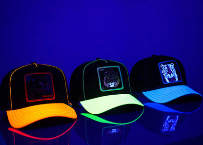 Gorra Goorin Bros The Farm Coleccion Glow Cats Brilla