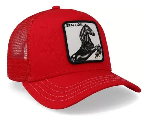 Gorra Goorin Bros Caballo Stallion Trucker Unitalla