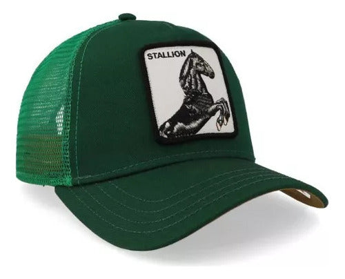 Gorra Goorin Bros Caballo Stallion Trucker Unitalla