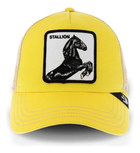 Gorra Goorin Bros Caballo Stallion Trucker Unitalla