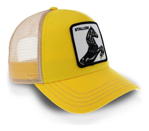 Gorra Goorin Bros Caballo Stallion Trucker Unitalla