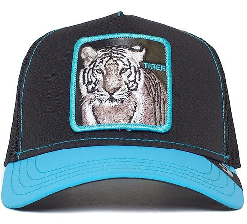 Gorra Goorin Bros The Farm Coleccion Glow Cats Brilla