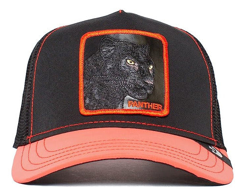 Gorra Goorin Bros The Farm Coleccion Glow Cats Brilla